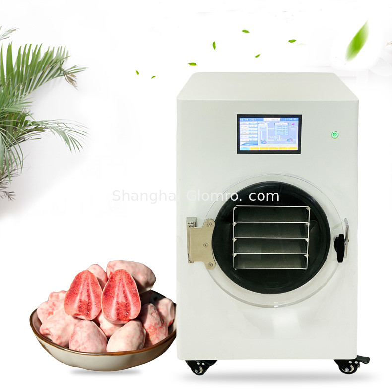 Industrial Lab Home Mini Freeze Dryer Instant Coffee Herb Flowers Food Lyophilizer