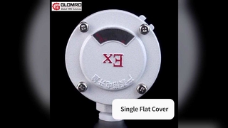 GLO-AH Scatola di giunzione antideflagrante