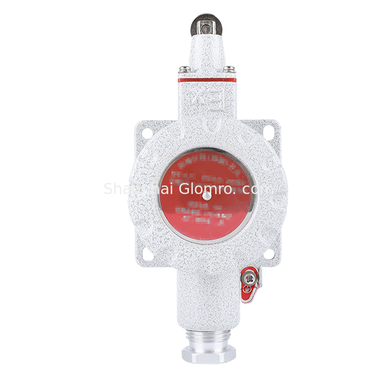 Explosion-proof Travel Switch DLXK with Z/L/B/D/H/N Drive Heads