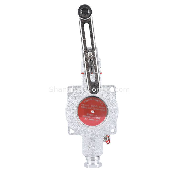 Explosion-proof Travel Switch Limit Adjustable Steering Arm Switch IIC AC 220V/AC 380V