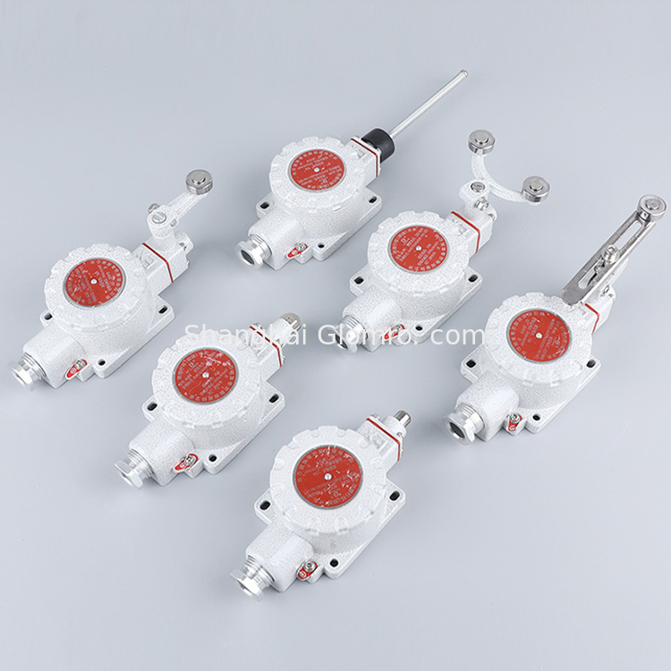 ATEX Explosion Proof Single Step Travel Switch BXT-LX5 Series For Hazardous Areas