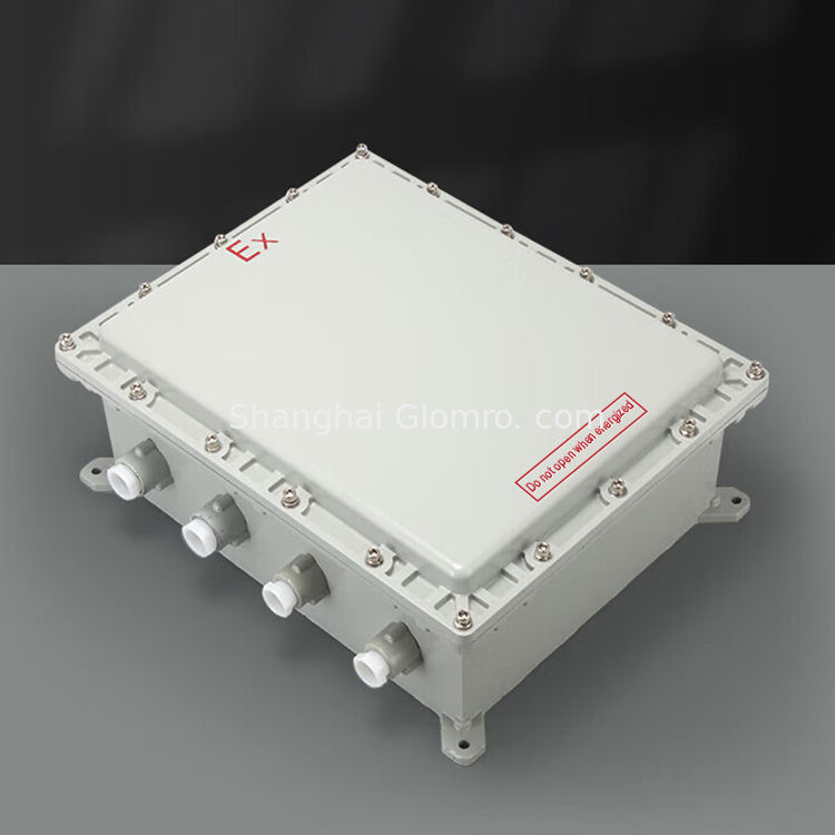 Explosion Proof Distribution Box, Lighting Power Cabinet, Explosion-proof Junction Box