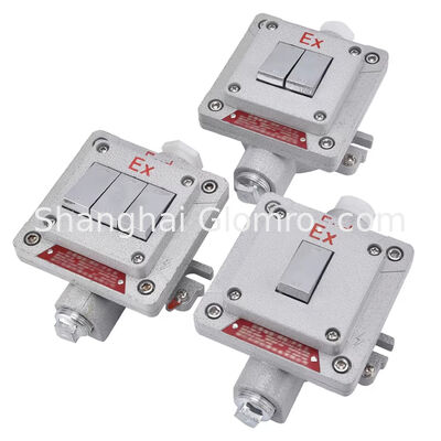 Tipo a prova di fiamma a prova di esplosione interruttore a parete montato in superficie a prova di esplosione, a prova di polvere e impermeabile