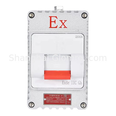 Interruttore di sicurezza antideflagrante a 1 circuito 220V/380V 10A/20A/32A/40A/63A Interruttore industriale impermeabile