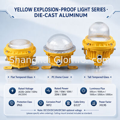 GLOMRO Lumiera di area a prova di esplosione a LED 30W SMD 3000Lm AC85V-265V per impianti petrolchimici