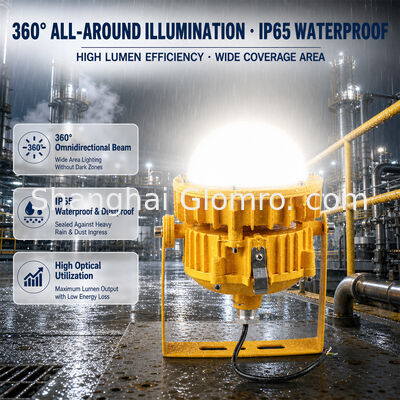 Lampada antideflagrante esente da manutenzione ad alta potenza 50W IP65 per illuminazione di magazzini, fabbriche e officine