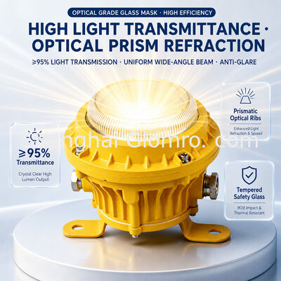 Lampada antideflagrante esente da manutenzione, resistente alla corrosione, montaggio a parete, 10W, lente in vetro, illuminazione industriale per corridoi e tunnel
