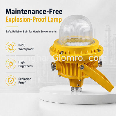 Lampada antideflagrante GLOMRO 30W esente da manutenzione con coperchio in vetro temperato per magazzini e stazioni di servizio, installazione a sospensione