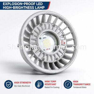 Lampada a LED antideflagrante 20W/30W/40W/50W/60W/70W/80W/100W/120W IP66 in alluminio pressofuso per aree pericolose con opzioni di potenza multiple
