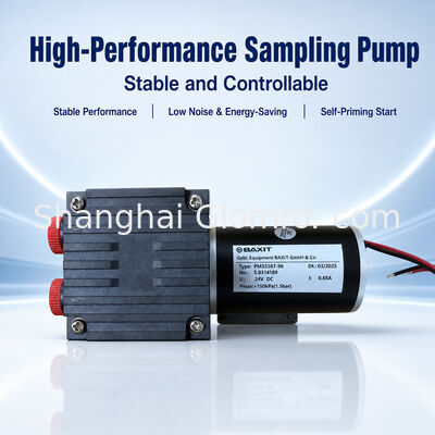 Pompa di campionamento gas a membrana BAXIT PM33387-96 Pompa per vuoto brushless DC24V per analisi gas di combustione CEMS