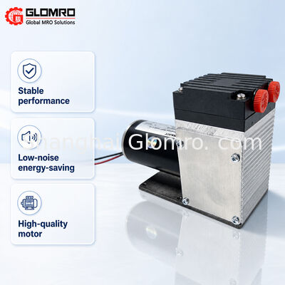 BAXIT PM33387-96 Pompa di campionamento di gas resistente alla corrosione DC24V Micro pompa a diaframma per campionamento di gas di scarico VOC CEMS