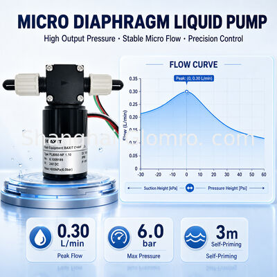BAXIT PL8060-NF1.10 Pompa liquida a piccolo diaframma senza spazzole a 6 bar alta DC12V 24V a velocità variabile Micro reagente resistente alla corrosione